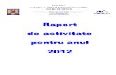 RRaappoorrtt ddee aaccttiivviittaattee ppeennttrruu ... activitate 12 luni 2012.pdf · incepand cu anul 2011 si continuand in anul 2012 somajul inscriindu-se în coordonate acceptabile