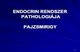 ENDOCRIN RENDSZER PATHOLOGIÁJA PAJZSMIRIGYusers.atw.hu/aokszote/download.php?fname=./02... · atrophiás variáns: kifejezettebb fibrosis kevesebb gyulladás, a mirigy gyakran kisebb.