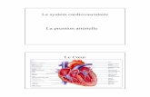 Le system cardiovasculaire1 - SomaSimple Discussion Lists · Le sang suit un gradient de pression, de haute (P1) a bas (P2) Le débit sanguin dépends sur ce gradient de pression