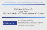 Multipath-Transfer mit dem Stream Control Transmission Protocol · 2011-11-16 · FTP: File Transfer Protocol; IP: Internet Protocol; TCP: Transmission Control Protocol . Multipath-Transfer