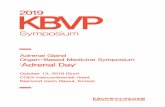 K 2019BVP · 2020-03-10 · Chairman of KBVP KBVP 한국수의임상포럼 2019 KBVP Symposium Professor Oh, Tae-Ho Kyungpook National University, College of Veterinary Medicine Dr.