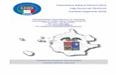 Federazione Italiana Giuoco Calcio Lega Nazionale Dilettanti …sicilia.lnd.it/sites/default/files/comunicati/2019-07/C.U. 2_DEL_TP.pdf · Calcio, approvato dalla Giunta Nazionale