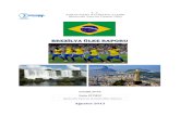 BBRREEEZZZİİİLLYYAAA A ÜÜÜLLLKKKEEE ......Ağustos 2013 T. C. KARACADAĞ KALKINMA AJANSI Şanlıurfa Yatırım Destek Ofisi Brezilya Ülke Raporu 1 İÇİNDEKİLER 1. ÜLKE GENEL