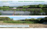 Islas flotantes vegetadas - Aquaneaaquanea/2/islas_flotantes_vege… · Isla flotante vegetada auto portante, semi rígida, en módulos de 2x1m. ampliables, en polietileno de baja