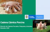 Cadena Cárnica Porcina - MinAgricultura...Cadena Cárnica Porcina Ministerio de Agricultura y Desarrollo Rural Antioquia Participación en producción nacional: 44,8% Producción