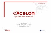 Dynamic B2B Solutions - Duredure.net/ebiz00062.pdfeXcelon Explorer (XML Browser) eXcelon Studio (DCD Schema Design) eXcelon Manager (Cache,사용자Access Control) Stylus (Visual XSL