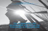 Os impactos da produção de cana no Cerrado e Amazôniasocial.org.br/cartilhaimpactoscana.pdf · Os impactos da produção de cana no Cerrado e Amazônia Informações: Rede Social