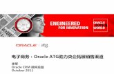 电子商务：Oracle ATG劣力央企拓展销售渠道 · 电邮，seo（搜索引擎优化），ppc （点击付费广告），购物比较引擎， 附属计划，直接交易