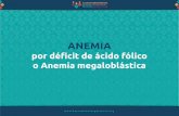 ANEMIA MEGALOBLASTICA OK - herramientasparteria.orgherramientasparteria.org/documentos/anemia/anemia... · ANEMIA POR DÉFICIT DE ÁCIDO FÓLICO O ANEMIA MEGALOBLÁSTICA 2 a 4% de