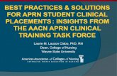 Laurie M. Lauzon Clabo, PhD, RN Dean, College of Nursing ... · meet the high quality standards Limited preceptor incentives and availability to meet clinical education demand Preceptor