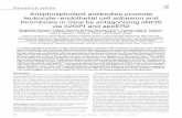 Antiphospholipid antibodies promote leukocyte–endothelial ...dm5migu4zj3pb.cloudfront.net/manuscripts/39000/... · eNOS activation, we pretreated BAECs with NHIgG or polyclonal