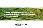 Um panorama da cannabis medicinal no Brasil · Desde 1996, dois terços dos estados dos Estados Unidos aprovaram o uso medicinal da Cannabis ao longo dos anos. Hoje são um total