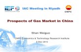 Prospects of Gas Market in China - IEF · 4 1.2 Gas market is over-supplied China’s gas demand in 2015 is expected to be 192 bcm, 10 bcm lower than supply, and nearly 40 bcm lower