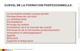 SURVOL DE LA FORMATION PROFESSIONNELLE - berufsbildung.ch · 7.1.2 La formation professionnelle en Suisse 2020 / Faits et chiffres / Survol de la formation professionnelle / ... •