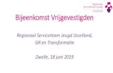 Bespreking jaarplan 2019 RSJ-IJsselland · Transformatie regio IJsselland Visiedocument 2017-2020 ‘Samenwerken aan Transformatie’ als bovenliggend kader gebruikt Transformatiefondsaanvraag