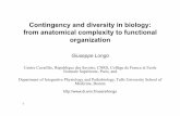 Contingency and diversity in biology: from anatomical ... · 8 Laplacian(Determina.on(and(Randomness(….(100(years( aerPoincaré(“[in cells] … the molecular processes are a Cartesian