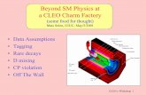 Beyond SM Physics at a CLEO Charm Factoryweb.hep.uiuc.edu/home/mats/cleoc_bsm/cleoc_bsm.pdf · Mats Selen, UIUC, May/5/2001 • Data Assumptions • Tagging • Rare decays •D mixing