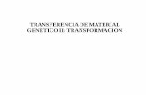 TRANSFERENCIA DE MATERIAL GENÉTICO II: TRANSFORMACIÓN · la propia cubeta o en un tubo de microcentrífuga) y se incuban a la temperatura óptima ... Posteriormente a la introducción