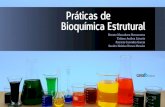 Práticas de Bioquímica Estrutural · Especialista em Reprodução Humana Assistida pela Associação Instituto Sapientiae Capa e Design: Renato Massaharu Hassunuma CIP – Brasil.