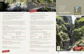 Peculiarità della Viamala 2020 - TOMASimage.tomas.travel/tds/repository/TDS...roccia massiccia erosa dai ghiacciai e dall’acqua dell’Hinterrhein. Una meta che vale la pena visitare