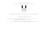 UNIVERSIDADE DE LISBOA Instituto de Geografia e Ordenamento … · 2018-03-19 · UNIVERSIDADE DE LISBOA Instituto de Geografia e Ordenamento do Território Determinantes da Competitividade