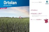 Ortolan - florimond-desprez.com · Ortolan Rendements récoltes 2017 à 2019 Blé tendre d’hiver Centre-Ouest Ortolan Rendement en % du témoin nombre d’essais 100,8 Filon 28