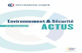 N°10 Octobre 2016 - franche-comte.cci.fr · Actualités environnement & sécurité – n°10 Octobre 2016 page 2 Les actualités réglementaires environnement et sécurité réalisées