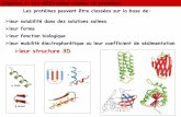¾leur structure 3D - Aix-Marseille University · Chapitre I: Les différentes classes de protéines I.3. Structures alpha/bêta ¾Structure de domaine la plus fréquente et la plus