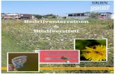 Bedrijventerreinen Biodiversiteit · Tijdelijke Natuur bedrijvenpark Twente Noord Het belang van bedrijventerreinen voor de biodiversiteit Natuur op bedrijventerreinen biedt veel