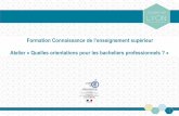 Formation Connaissance de l’enseignement supérieursbssa.enseigne.ac-lyon.fr/spip/IMG/pdf/diaporama... · moins une admission sur APB (PN + PC) Type de série du bac 2016 2017 2016