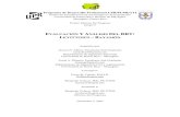 EVALUACIÓN Y ANÁLISIS DEL BRT: LEVITTOWN BAYAMÓN - Recinto Universitario de …academic2.uprm.edu/uprati/interns/group_2/prog_report/... · 2006-03-27 · Programa de Desarrollo