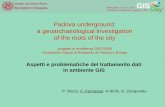 Padova underground: a geoarchaeological investigation of ... · Padova underground: a geoarchaeological investigation of the roots of the city ... almeno 6 punti per km2 (4 periodi