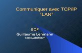 Communiquer avec TCP/IP °LAN°lehmann.free.fr/Contributions/Cours_TCP_IP.pdfVérifier qu’il n’y a pas duplication ou perte de paquets. Vérifier que les paquets sont présentés