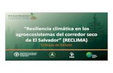“Resiliencia climática en los agroecosistemasdel corredor ...filac.net/eventosfilac/18022019/presentaciones/4dveronicachicas.pdf · “Resiliencia climática en los agroecosistemasdel