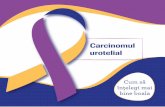 Carcinomul urotelialinvingemcancerul.ro/publicatii/navigator-cancer-de-vezica.pdf · Stadializarea se folosește pentru a evalua extinderea bolii. Cel mai frecvent utilizat este sistemul