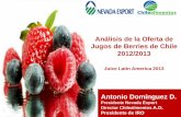Análisis de la Oferta de Jugos de Berries de Chile 2012/2013chilealimentos.com/wordpress/wp-content/uploads... · EXPORTACIONES DE JUGOS Y PULPAS DE BERRIES Incluye congelados, jugos,