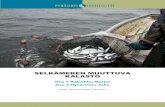 pyhajarvi-instituutti.fi...2 Muuttuva Selkämeri SELKÄMEREN MUUTTUVA KALASTO Selkämeren kalaston kehitys: 1 Johdanto