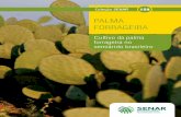 PALMA FORRAGEIRA - Confederação da Agricultura e ... · Palma Orelha de Elefante Mexicana ou Palmepa - PB3Opuntia stricta (Howard) - Variedade resistente à cochonilha-do-carmim.