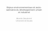 Enjeux environnementaux et socio- sanitaires du ...€¦ · Enjeux environnementaux et socio-sanitaires du développement urbain et industriel Bitondo Dieudonné Université de Douala
