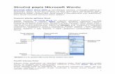 Stručný popis Microsoft Worducharlijen.net/wp-content/uploads/Základy_wordu.pdfjednoho dialogového okna, které můžeme vyvolat v panelu nabídek Formát klepnutím na příkaz