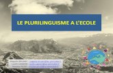 LE PLURILINGUISME A L’E OLE · linguistique et culturelle -> dans les programmes (analyse proposée par le groupe LVE de la DSDEN 24) ... Une ouverture à la diversité linguistique