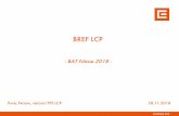 LCP BREF - Ministerstvo průmyslu a obchodu · 2018-11-29 · rozdílů v rámci jednoho zdroje spalujícího jedno palivo. Zahájení prvních kampaní kontinuálního měření