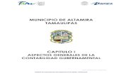 MUNICIPIO DE ALTAMIRA TAMAULIPAS CAPITULO I ASPE… · La Ley de Contabilidad también determina la obligación de generar información económica, entendiendo por ésta, la relacionada