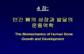 4 장 인간뼈의성장과발달의 운동역학 - …elearning.kocw.net/contents4/document/lec/2012/ChungAng/...4) 운동이폐경기이후의호르몬이상을해결하지는 않는다.