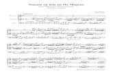 Quantz Sonate trio Do Majheurley.fr/Files/Other/quantz_sonate_trio_do_maj.pdf · 1 / 13 Quantz Sonate en Trio Do Maj. Sonate en trio en Do Majeur pour flûte à bec, flûte traversière