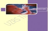PERINATALNE INFEKCIJE€¦ · Web viewInfekcije novorođenčeta mogu nastati u toku trudnoće (prenatalna, intrauterina ili kongenitalna infekcija), za vreme porođaja (perinatalna