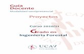 Grado en Ingeniería Agropecuaria - UCAVILA · Proyectos Curso 2019/20 G rado en Ingeniería Agropecuaria . Guía Docente . Modalidad Semipresencial
