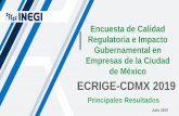ECRIGE CDMX 2019 - inegi.org.mx · Sistema de Apertura Rápida de Empresas (SARE) ... 3 En promedio, en 2016 cada unidad económica de la ... Resultados de las Inspecciones De los