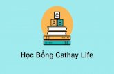 Học Bổng Cathay Lifefit.huflit.edu.vn/wp-content/uploads/2019/11/Cathay... · 2019-11-14 · ty tại thời điểm đó •Hỗ trợ đào tạo theo chính sách công ty