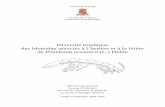 Diversité trophique des Idoteidae associés à …...Page de garde : schéma d’ Euidotea bakeri (Poore & Lew Ton, 1993) Résumé La diversité trophique de cinq espèces d’Idotéidés
